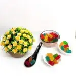 Gomitas dulces ositos 1