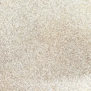 Quinoa