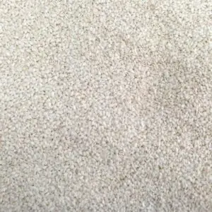Semilla de sésamo blanco